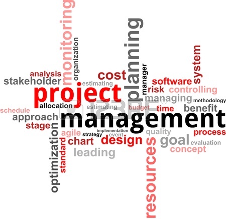 17775705-un-nuage-de-mot-d-articles-lies-a-la-gestion-de-projet